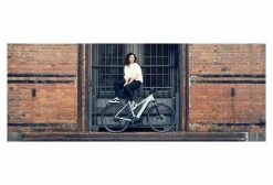 VÉLO ÉLECTRIQUE DE VILLE RIESE & MULLER ROADSTER 18 VÉLO ÉLECTRIQUE DE VILLE RIESE & MULLER ROADSTER -VÉLOS ÉLECTRIQUES Soldes 21954906221d86bebfce8