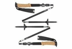 Bâtons Black Diamond Alpine FLZ Z